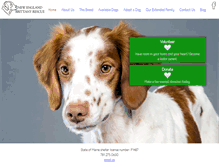 Tablet Screenshot of nebrittanyrescue.org